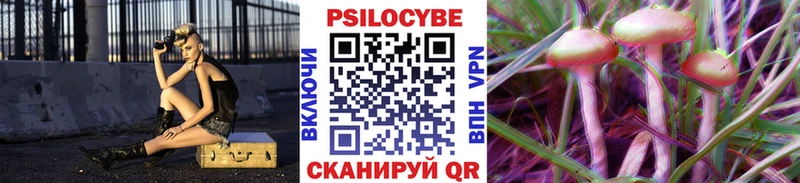 сколько стоит  Павловская  hydra ТОР  Псилоцибиновые грибы Psilocybine cubensis 
